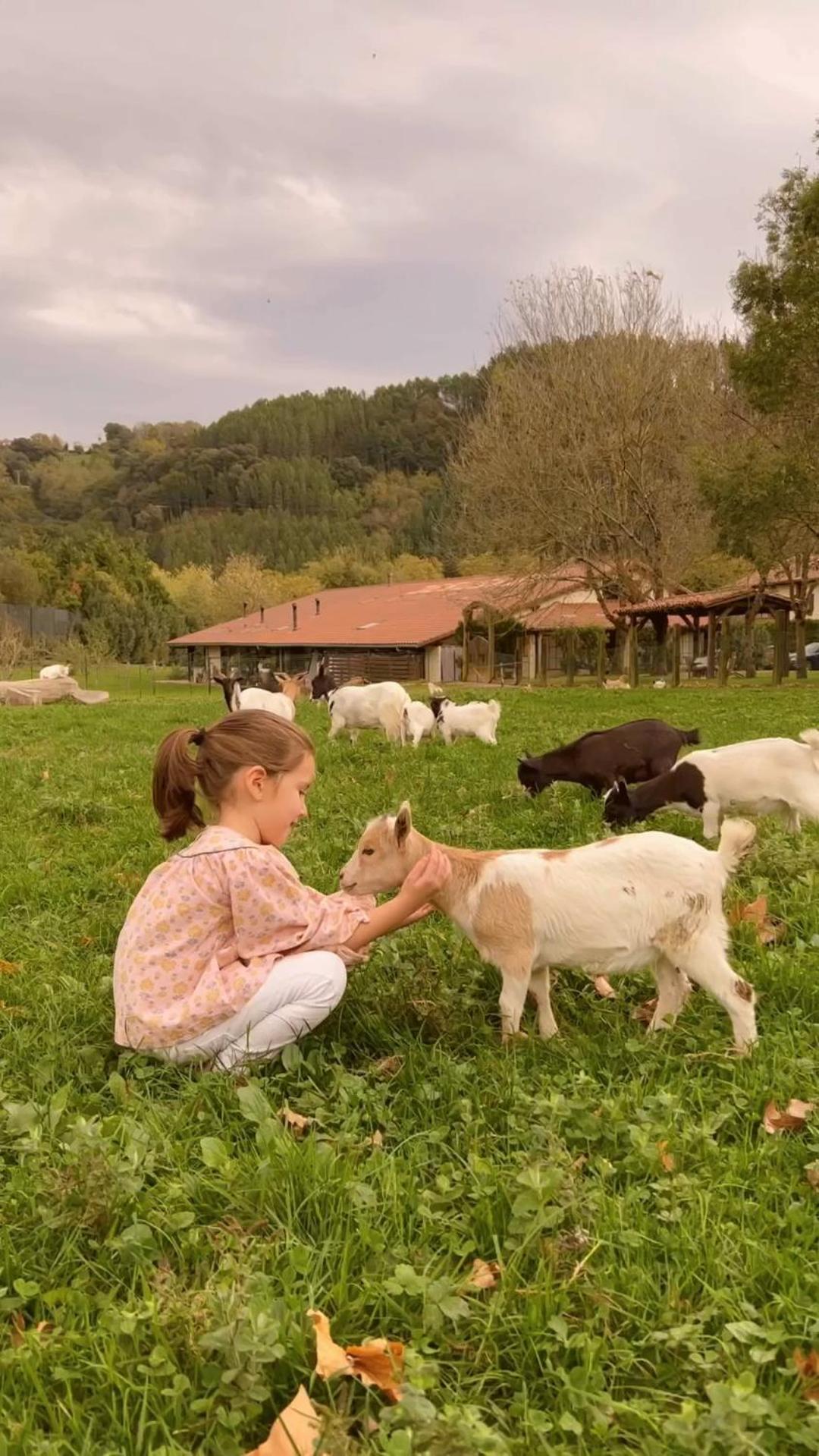 Casa Rural Jesuskoa Сумая Экстерьер фото